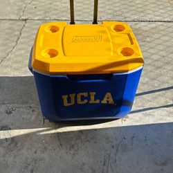 Coleman Cooler UCLA