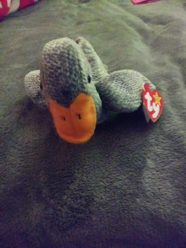 Beanie baby
