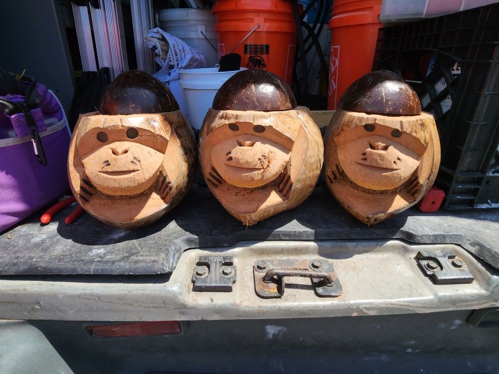 Decorative Coconut Deink Holder