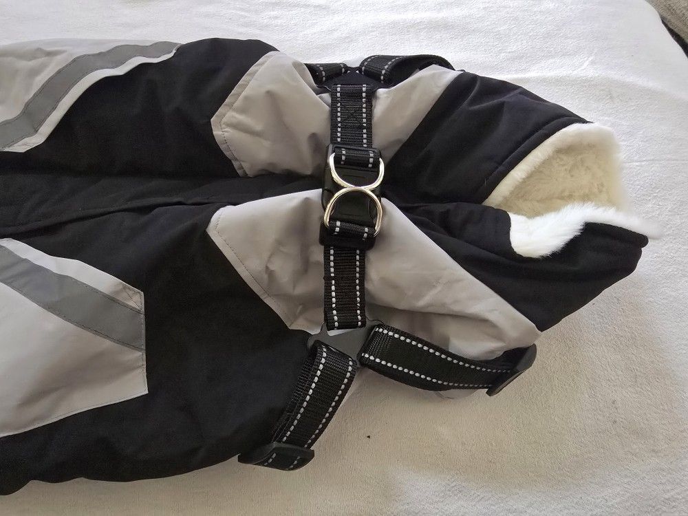 Dog Coat With Collar