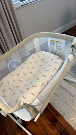 Baby delight bassinet and snuggle me