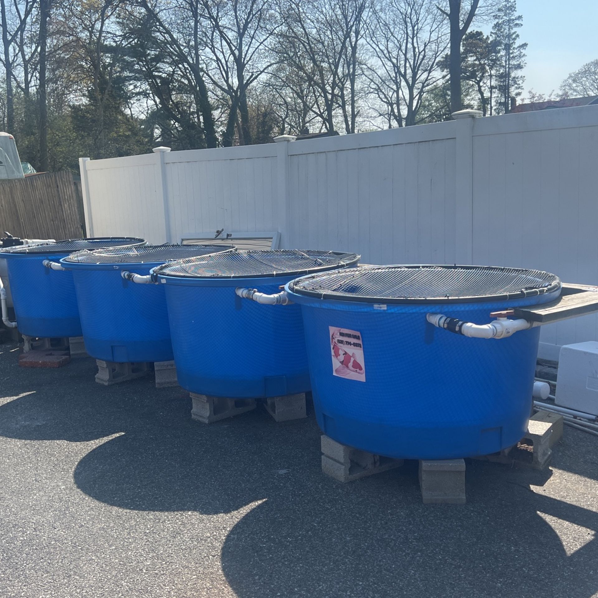 Four Koi ponds all attached with a bead filter UV light