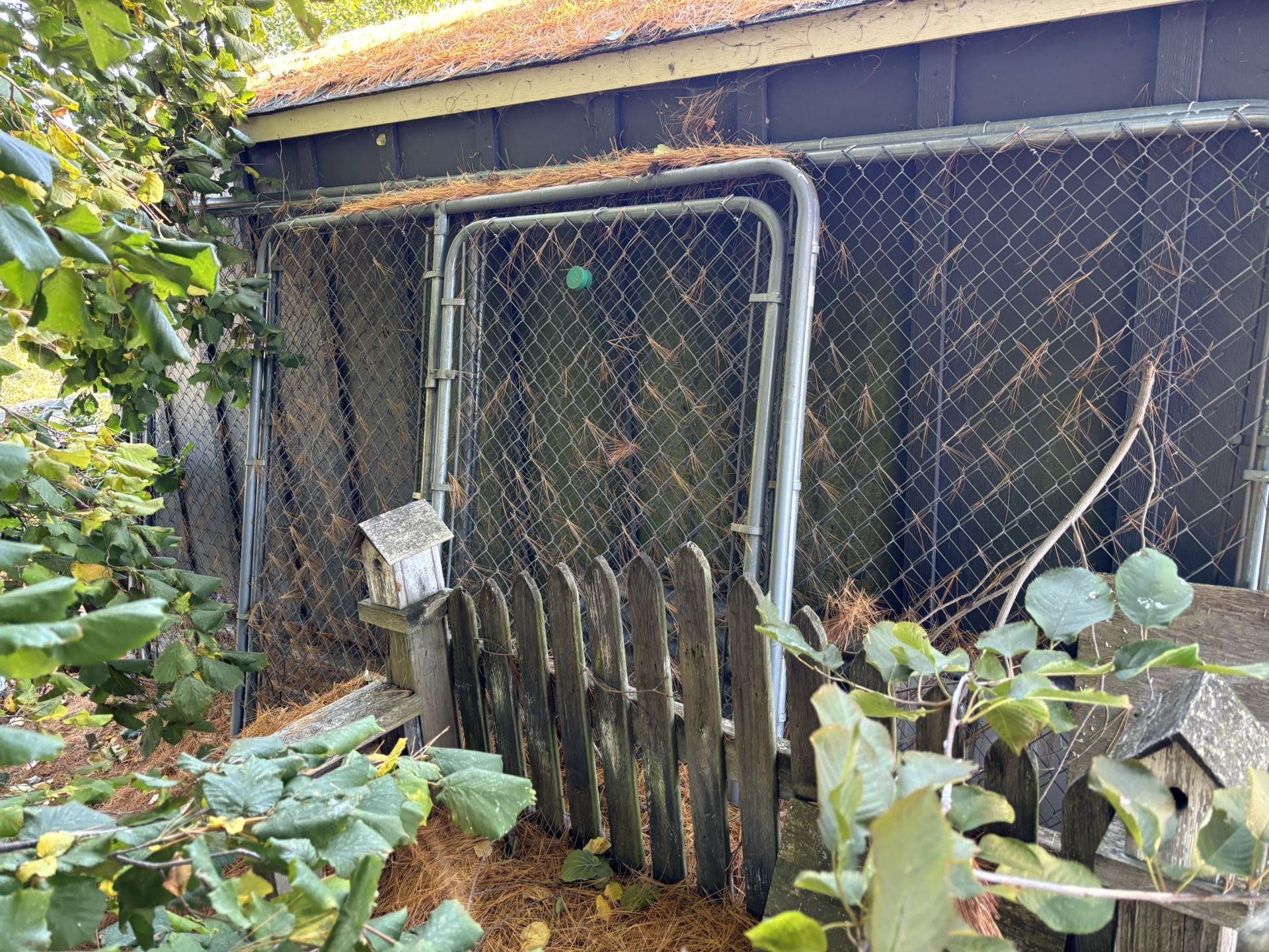 Dog Kennel