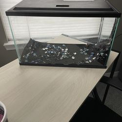 10 Gallon Fish Tank