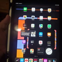 iPad Apple Pencil And Case