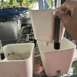 Self Watering Planter X 4