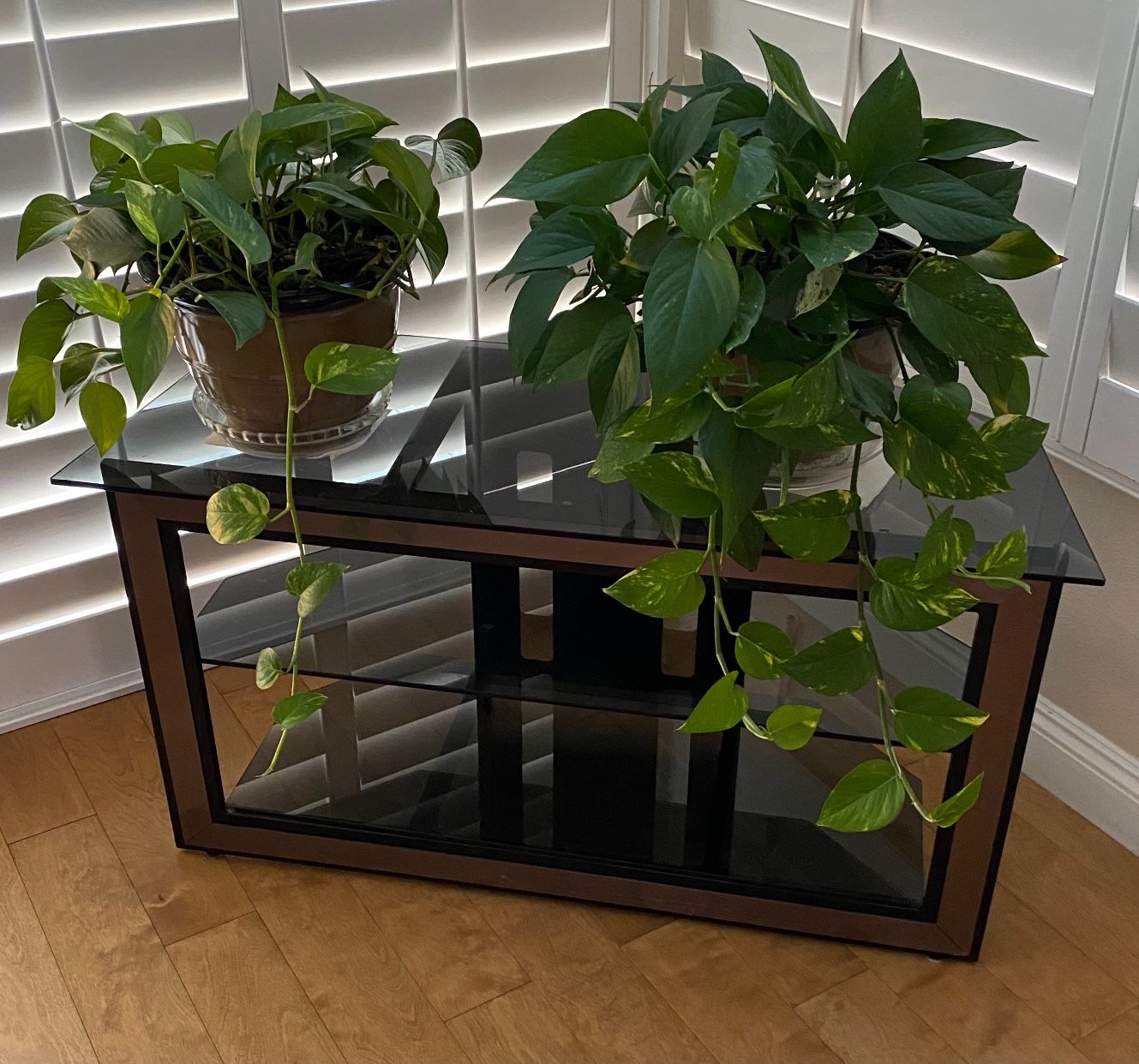Tv Table w/glass Shelves