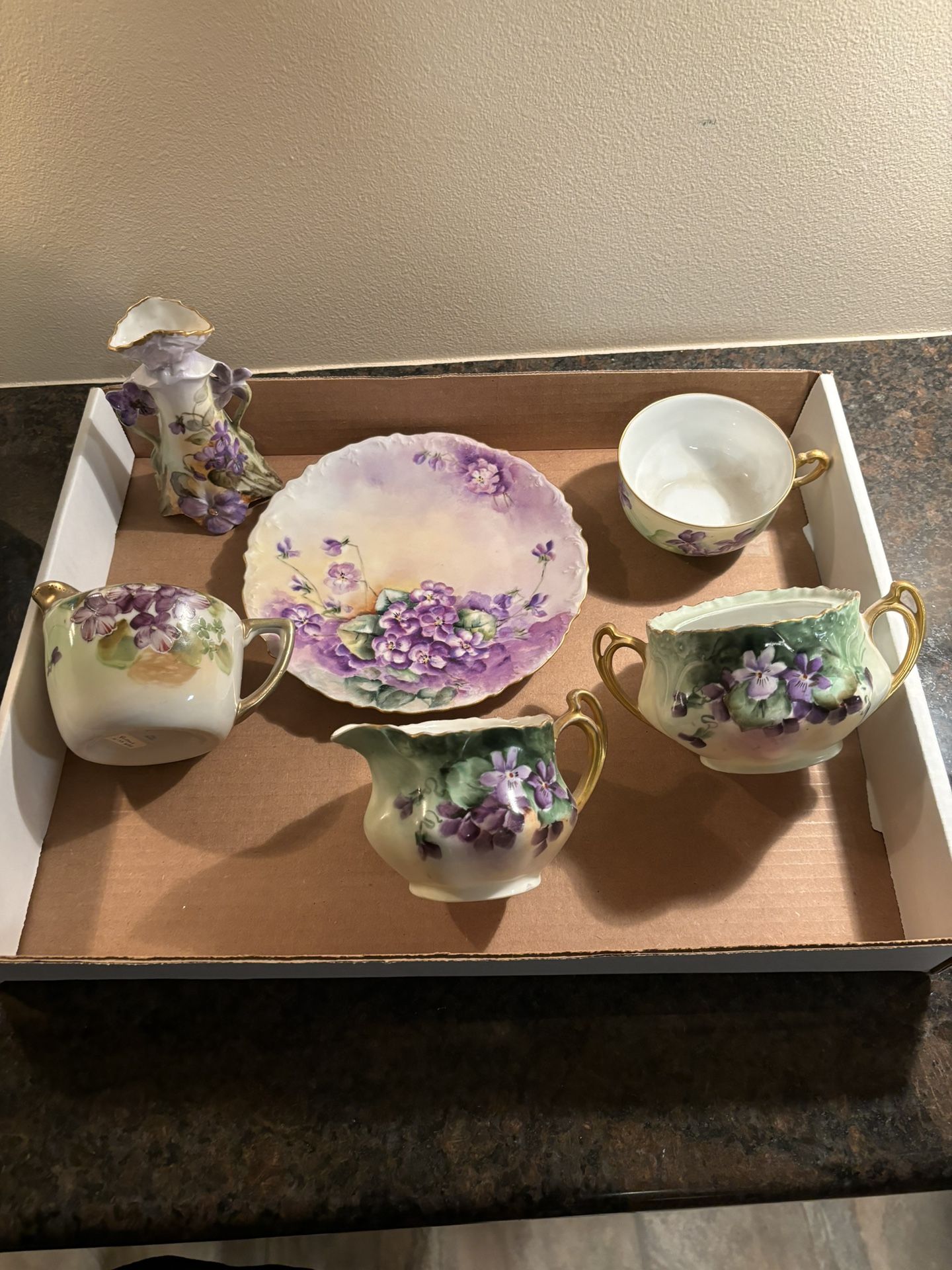 Vintage Hand Painted France Tea Set