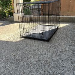 Dog Crate