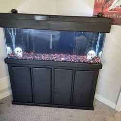50 Gallon Freshwater Fish Tank 