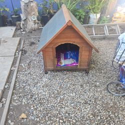Dog House 🏠 