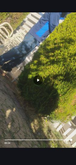  Hola ando buscando travajo se de jardineria si alguien esta nesesitando una limpiesa porfavor dejenme saver oj