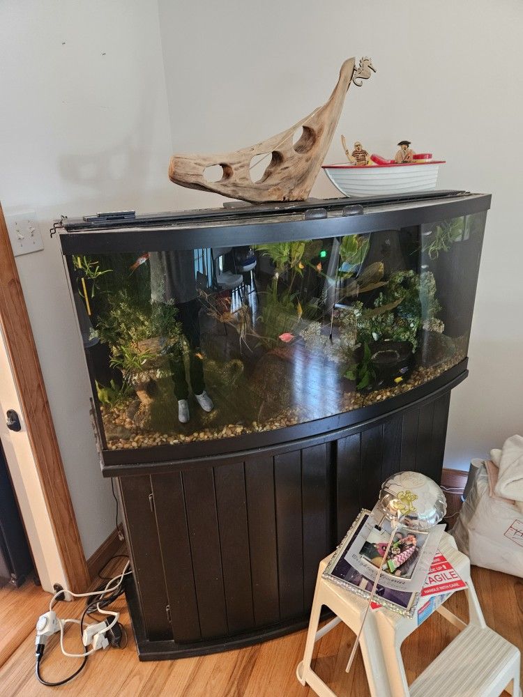 75 Gallon Sump Style Fish Tank
