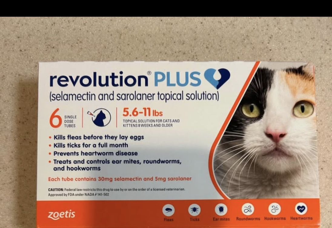 Cat Revolution Plus 6 Pack