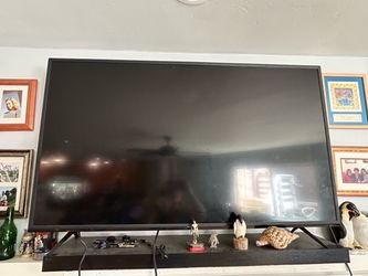 Vizio 55in TV