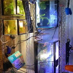 fish tanks for sale