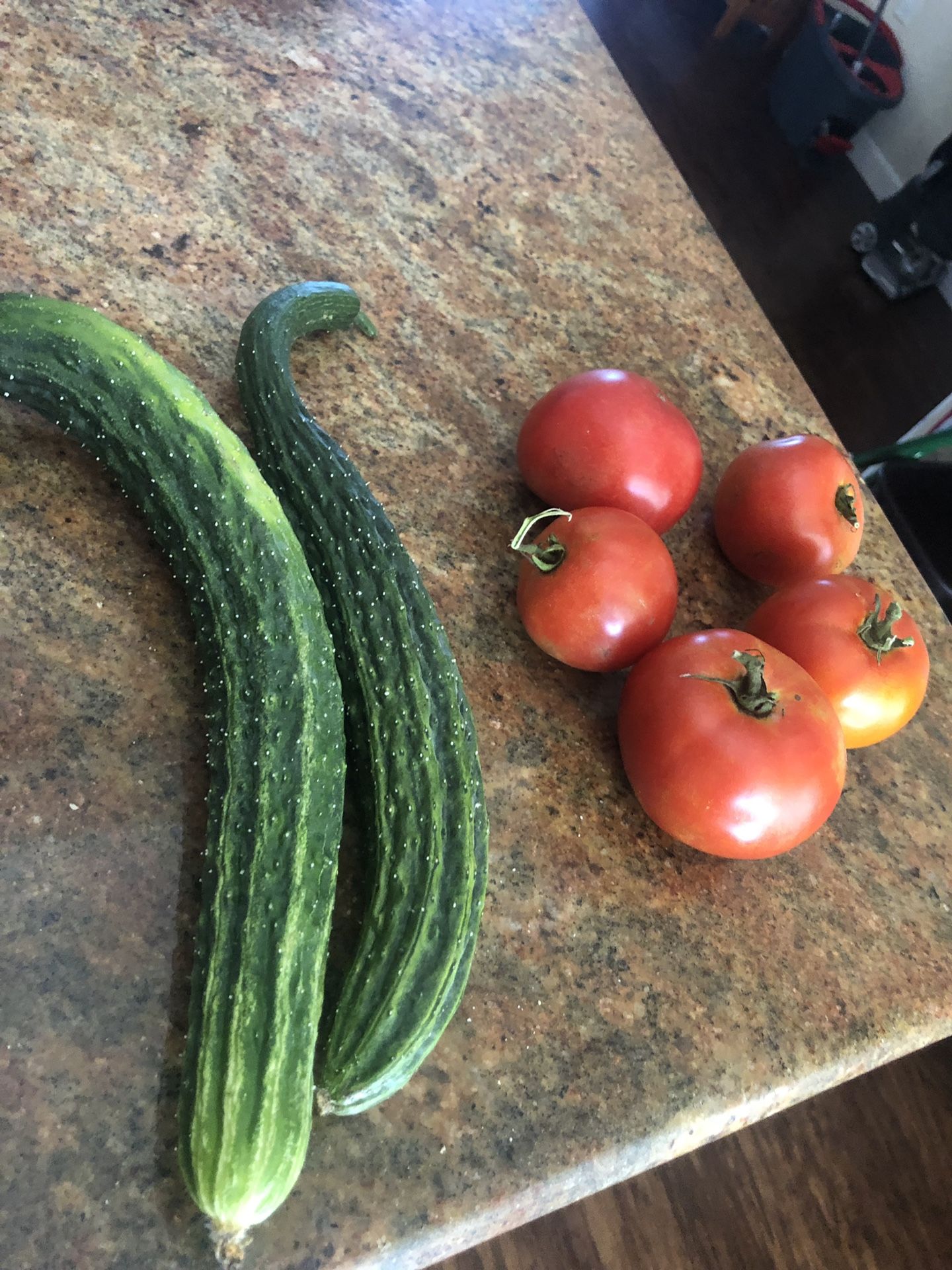 Homegrown fresh w/o pesticides Japanese cucumber, tomato, basil, Serrano Chile, peppermint, mint