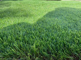 Artificial Turf/Grass
