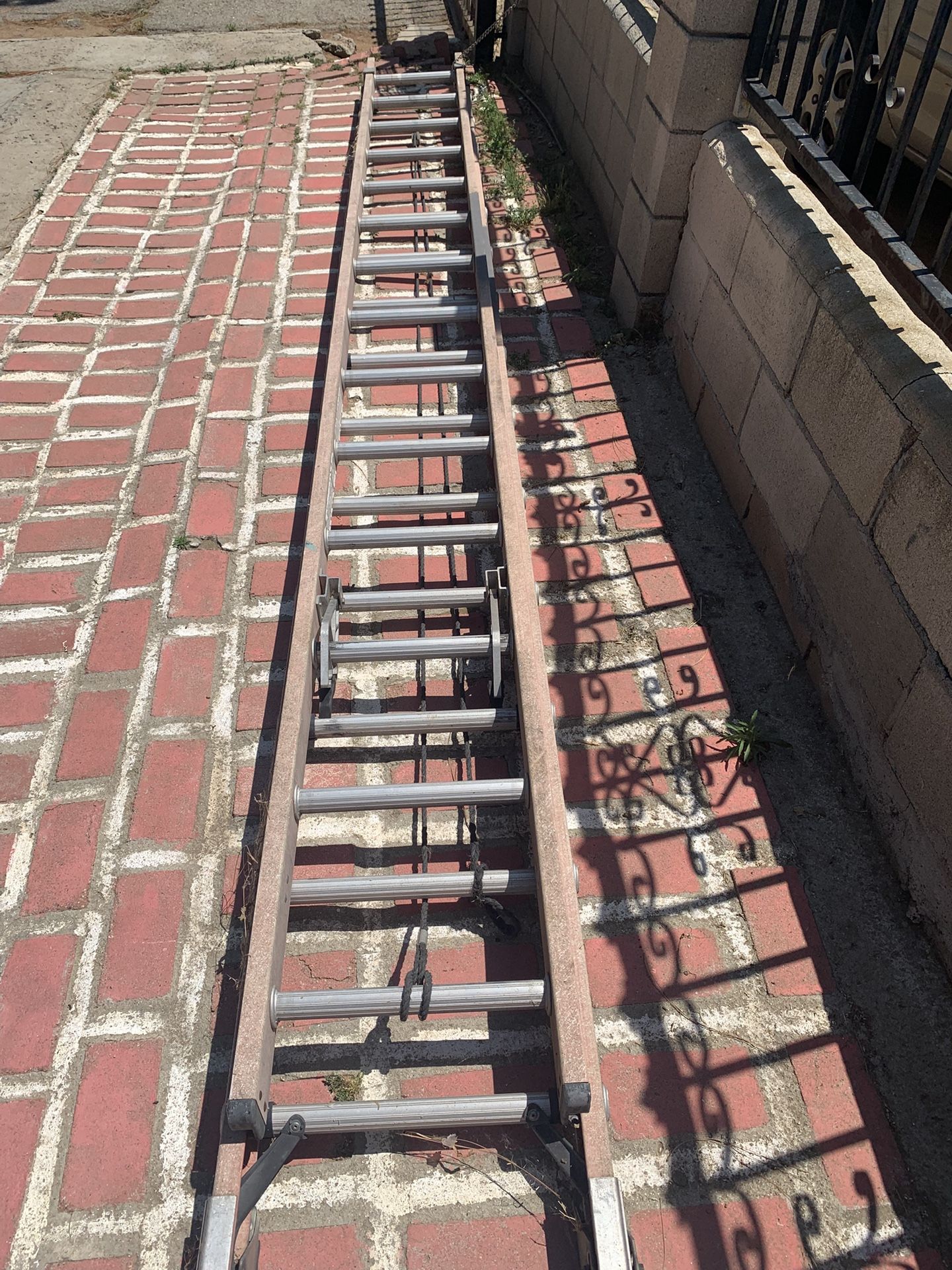 Werner Ladder
