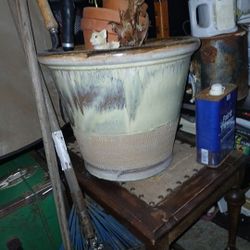 Plants Pots And Accessories 