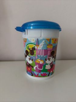 Disneyland Popcorn Bucket