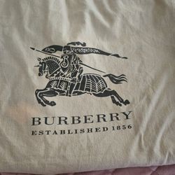 Small Bag Burberry 