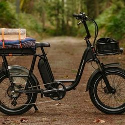 
**For Sale: Rad Runner Plus 2023 Electric Bike – Excellent Condition** ⚡🚲