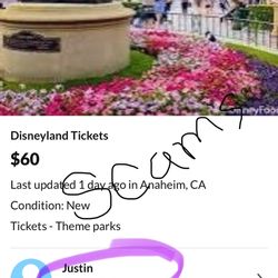 Disneyland Tickets 