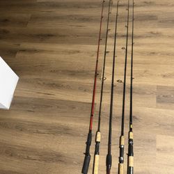 5-Rod Fishing Lot  (3 Casting & 2 Spinning Set)