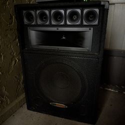 GemSound Woofer Speaker