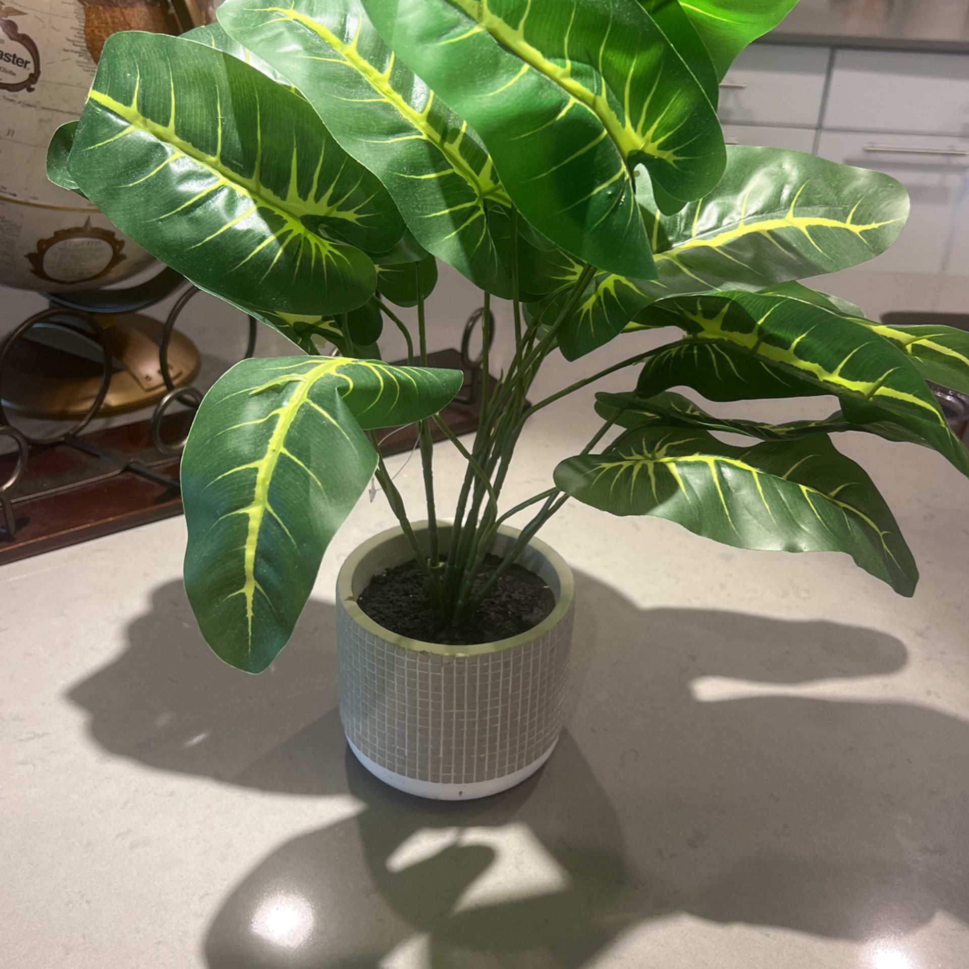 Fake Plant - Fiddle Leaf