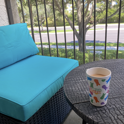 Outdoor Patio Chair + Table Set – Great Condition