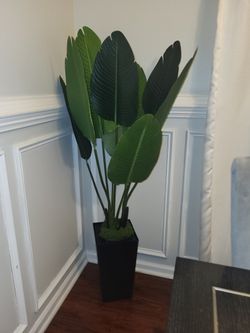 Like New 4.5 Ft Artificial Plant $40 Other Stuff Prices Vary
