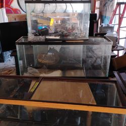 54 Gallon Aquarium 