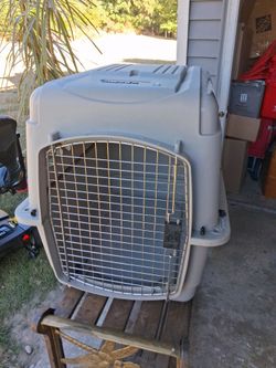 Pet carrier
