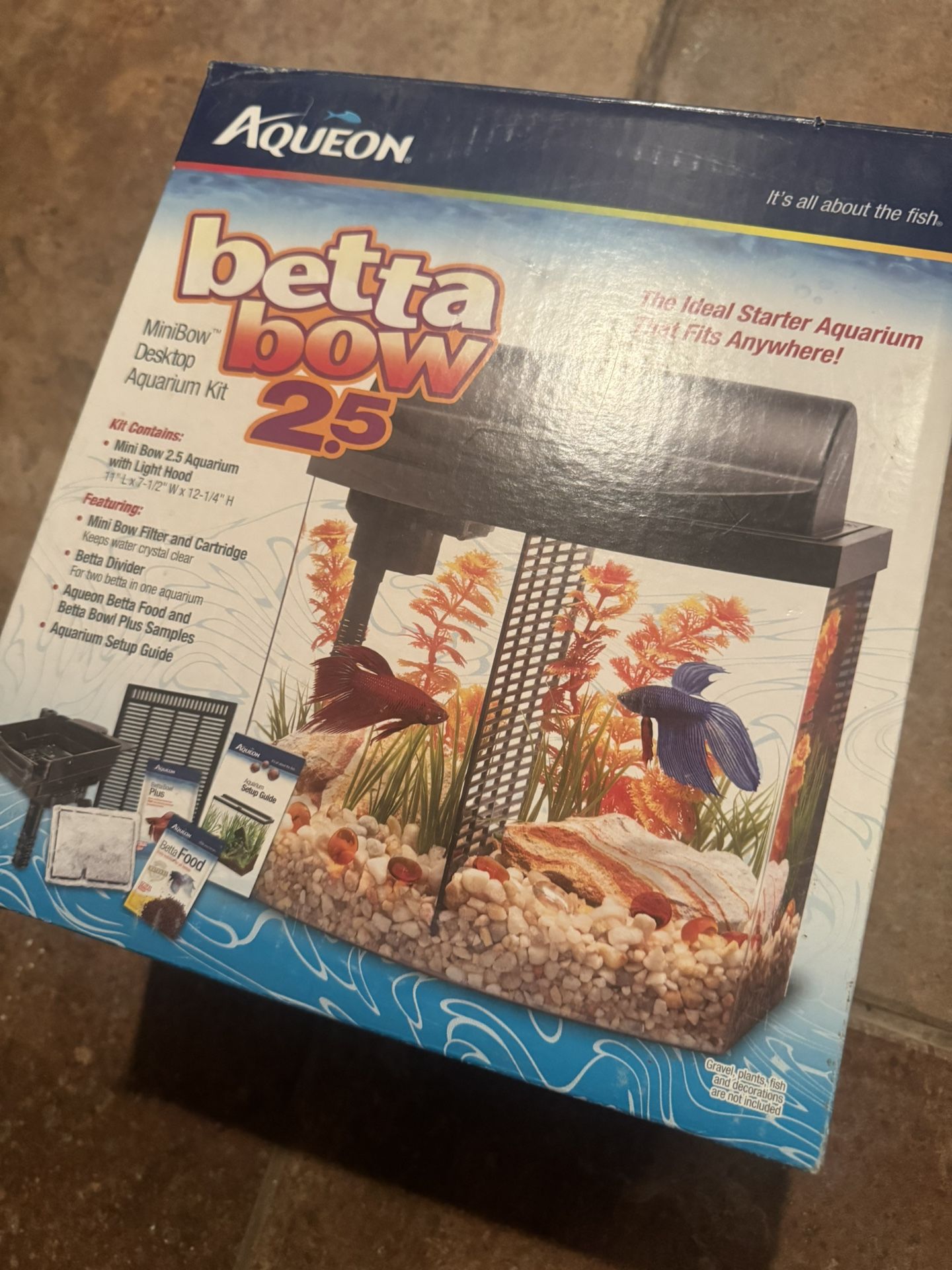 Betta Fish Small Tank