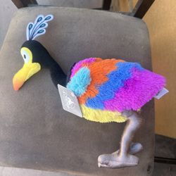 Bird From Up