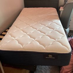 Twin Brand Néw Mattress 