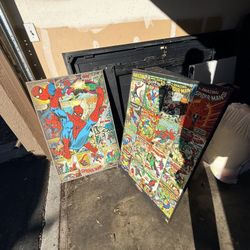 Spider-Man Wall Decor 