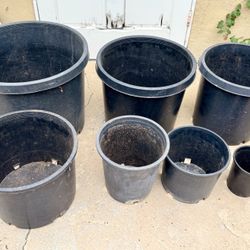 Premium Black Plastic Nursery Pots