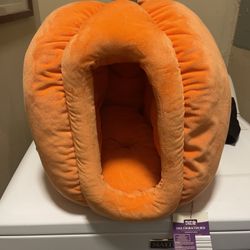 Fall character, pet bed