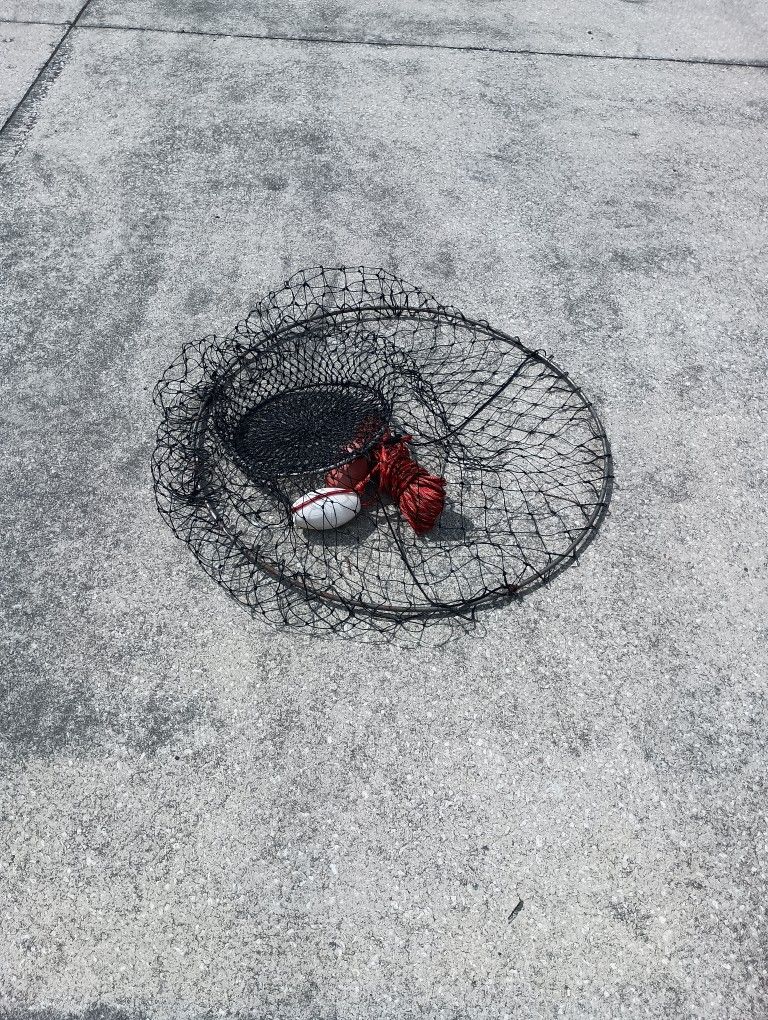 Crab Net