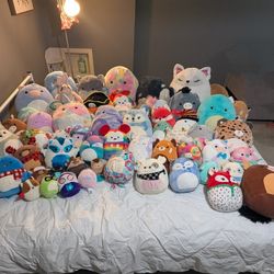 Squishmallows! 