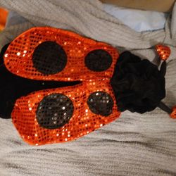 Lady Bug Costume For Dog
