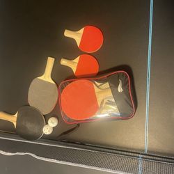 Ping Pong Table