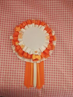 Orange Creamsicle Dream oshikatsu rosette