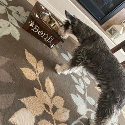 🐶🐶🐶🐶🐶🐶NEW CUSTOM MADE DOGGY BOWLS🦮🐕🦮🦮