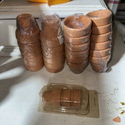 Floral W0246396 1.625in(4.1cm) Hobby Lobby 