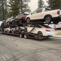 7 Car Hauler Trailer 