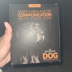 Dog Training Collar